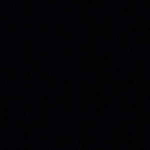 Meet your Posher, Sylvia